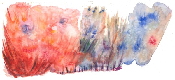 Stroll Along the Dunes